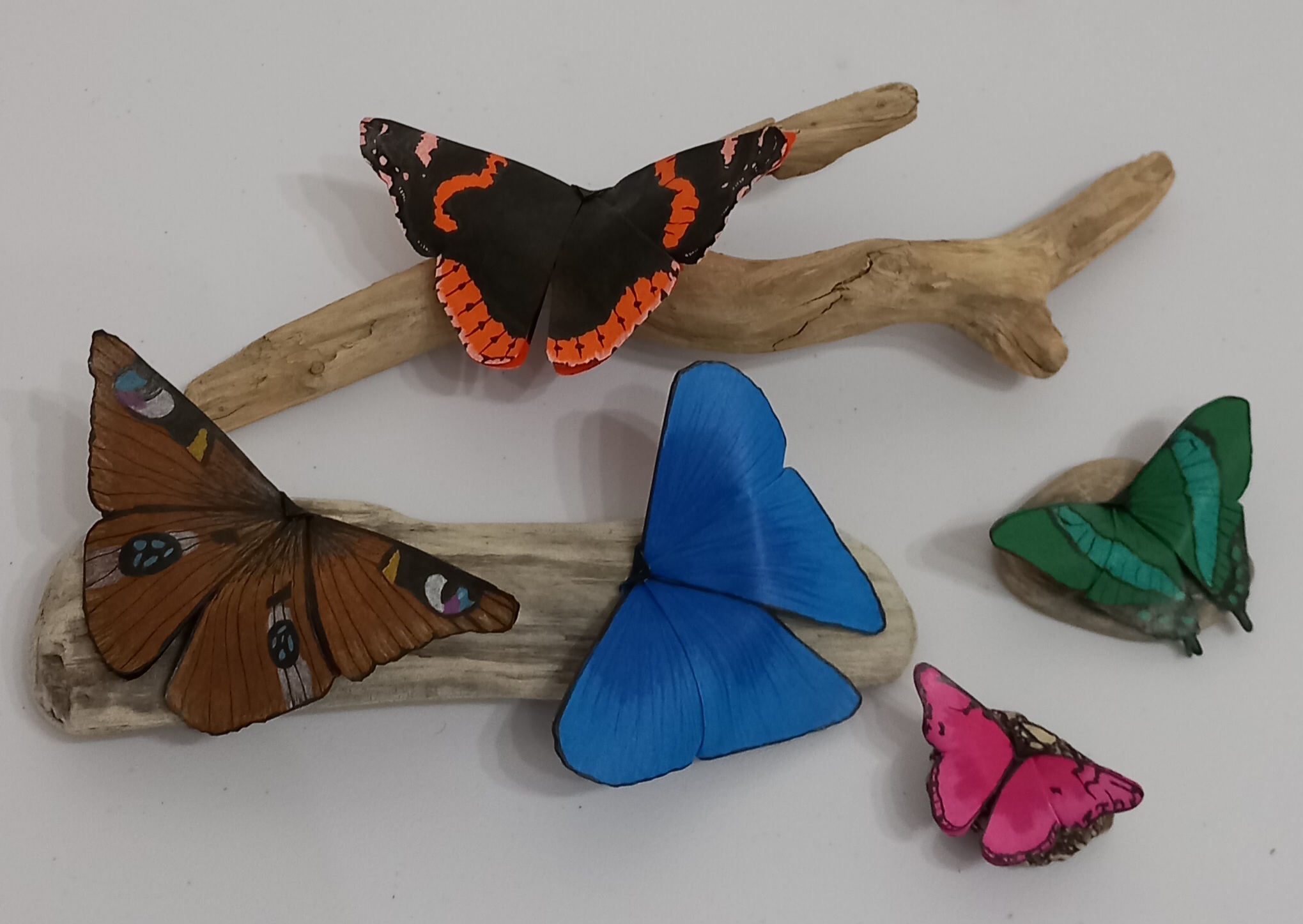 neue Gastausstellerin 